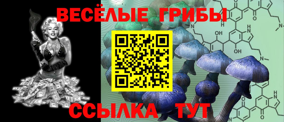 Галлюциногенные грибы MAGIC MUSHROOMS  Вход с VPN  хочу   Амурск 